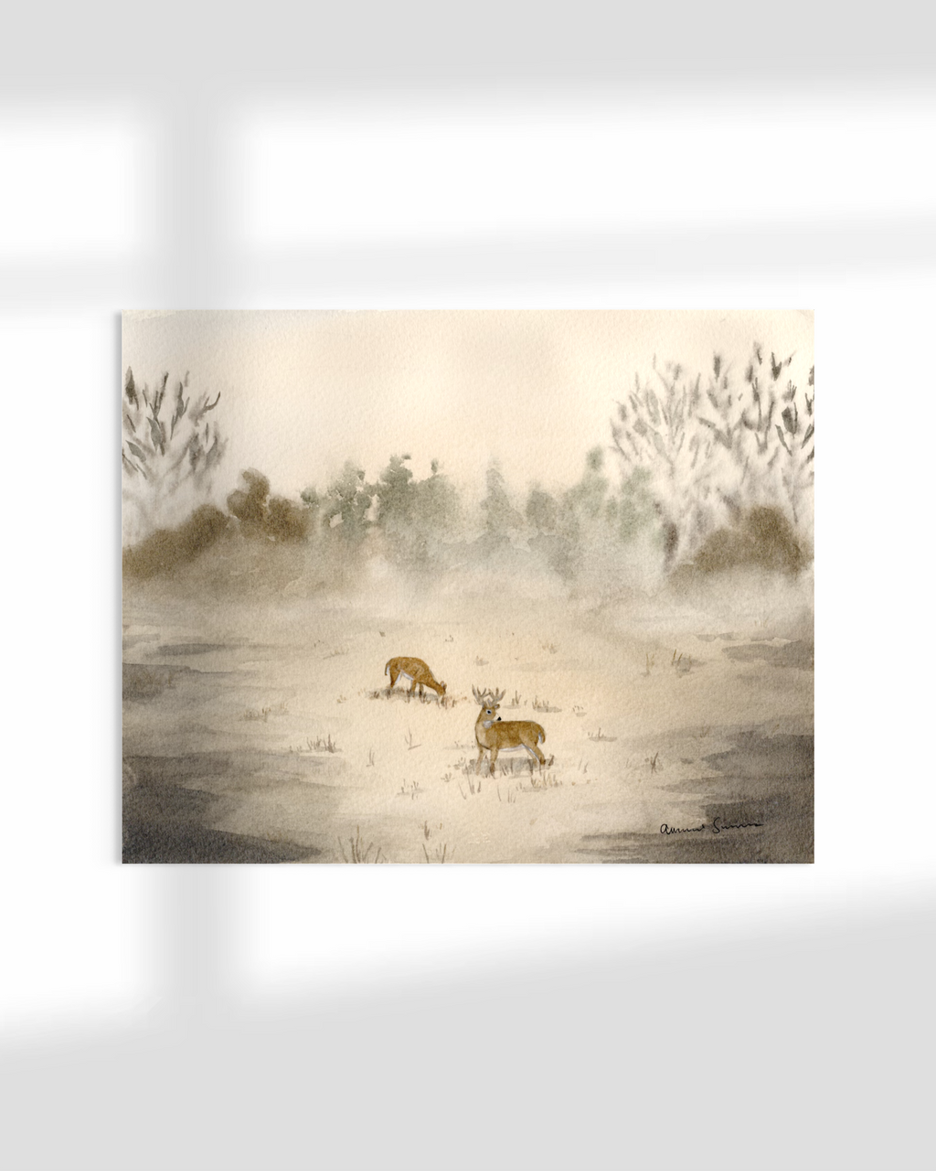 Thinking of the Woods- The Clearing