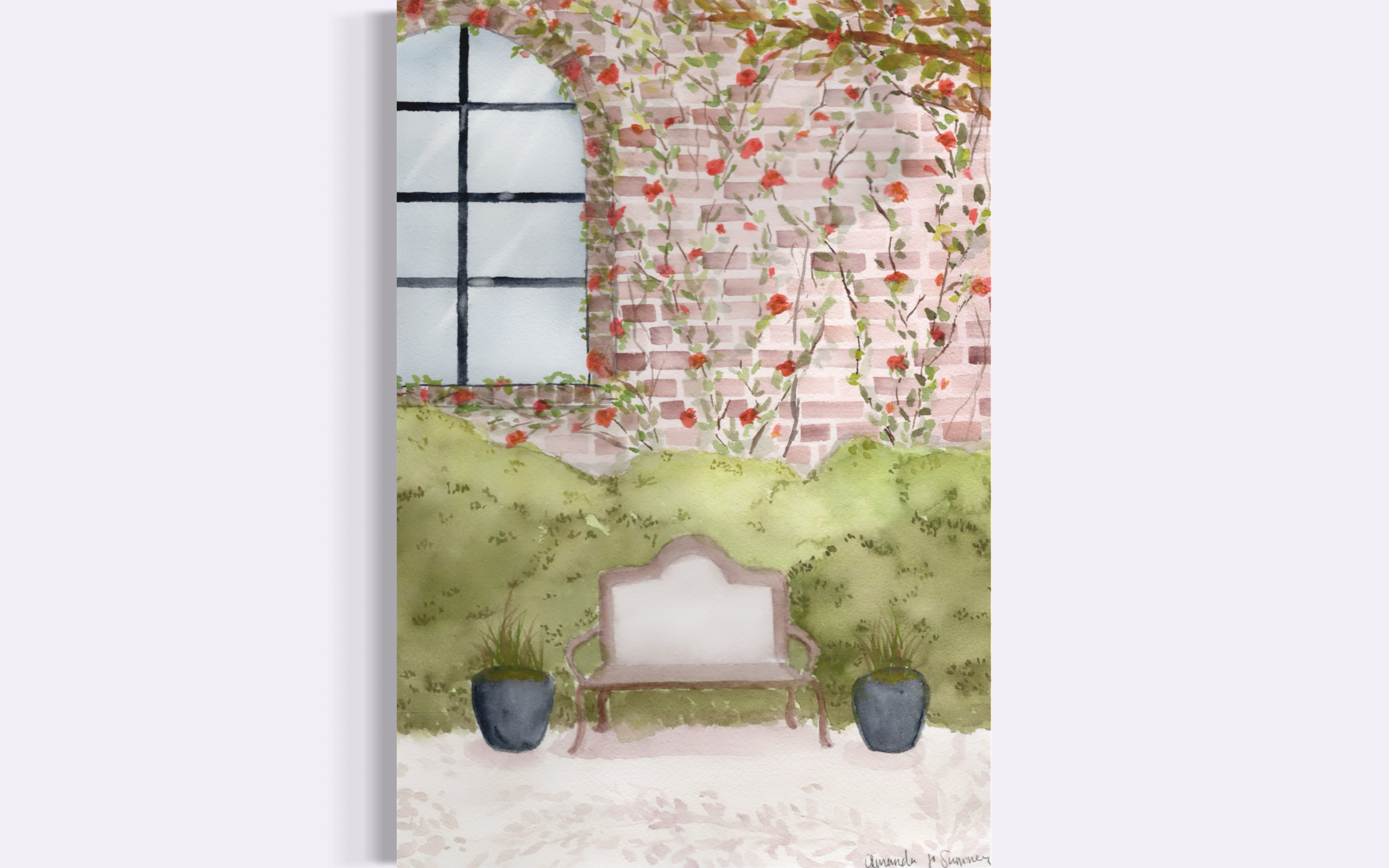 Watercolor painting of a garden courtyard featuring a classic metal bench, potted ornamental grasses, and an arched window set in a brick wall covered with blooming pink climbing roses.