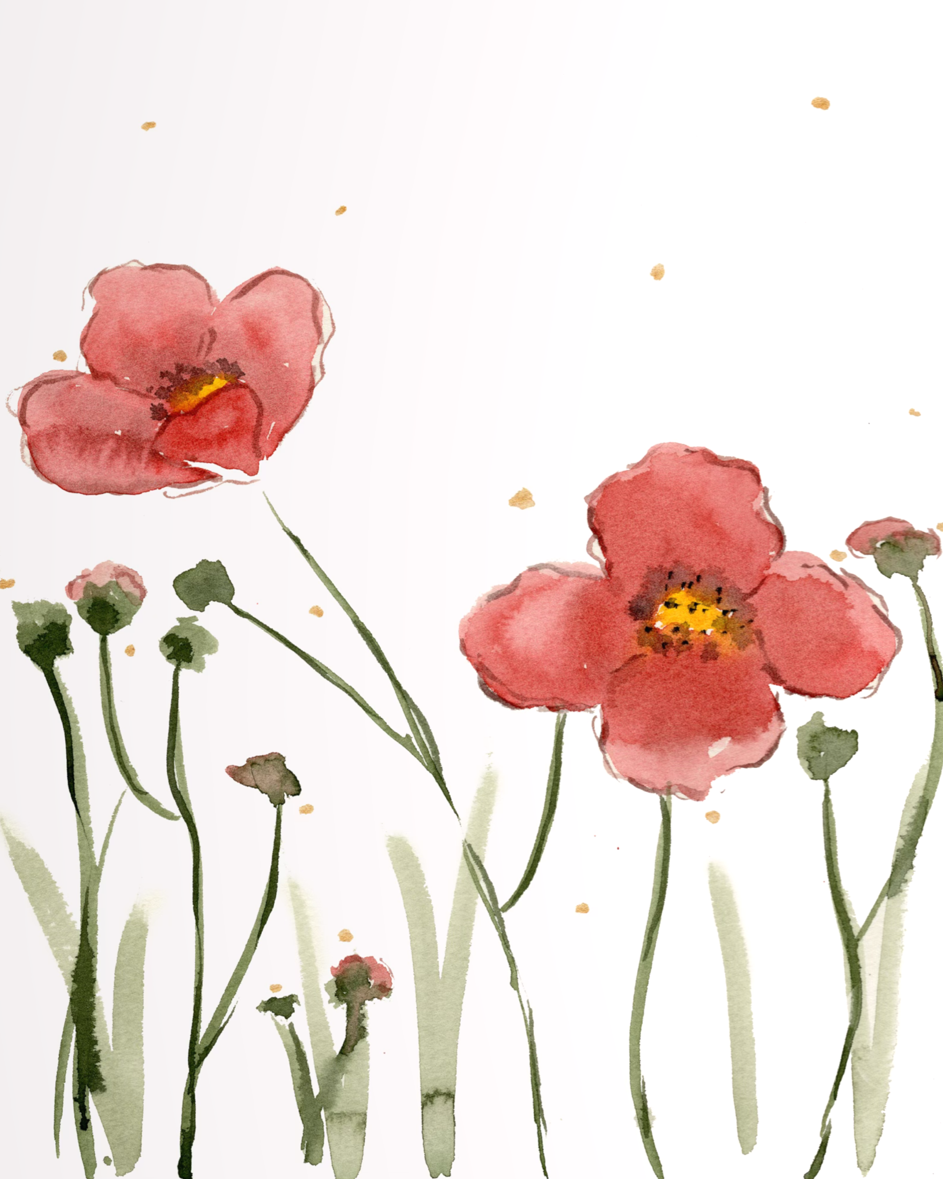 Poppy series (4 piece set)
