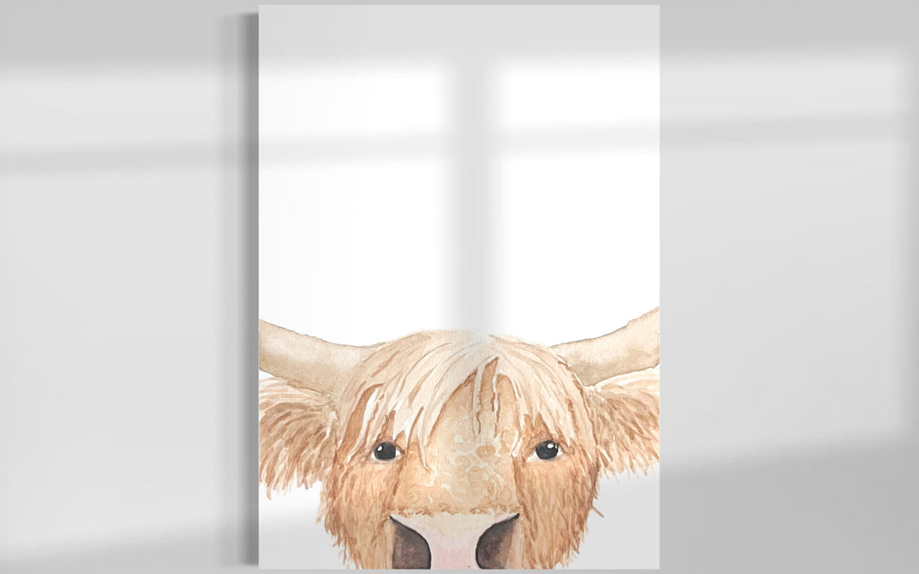 Nosey Highland Cow Canvas