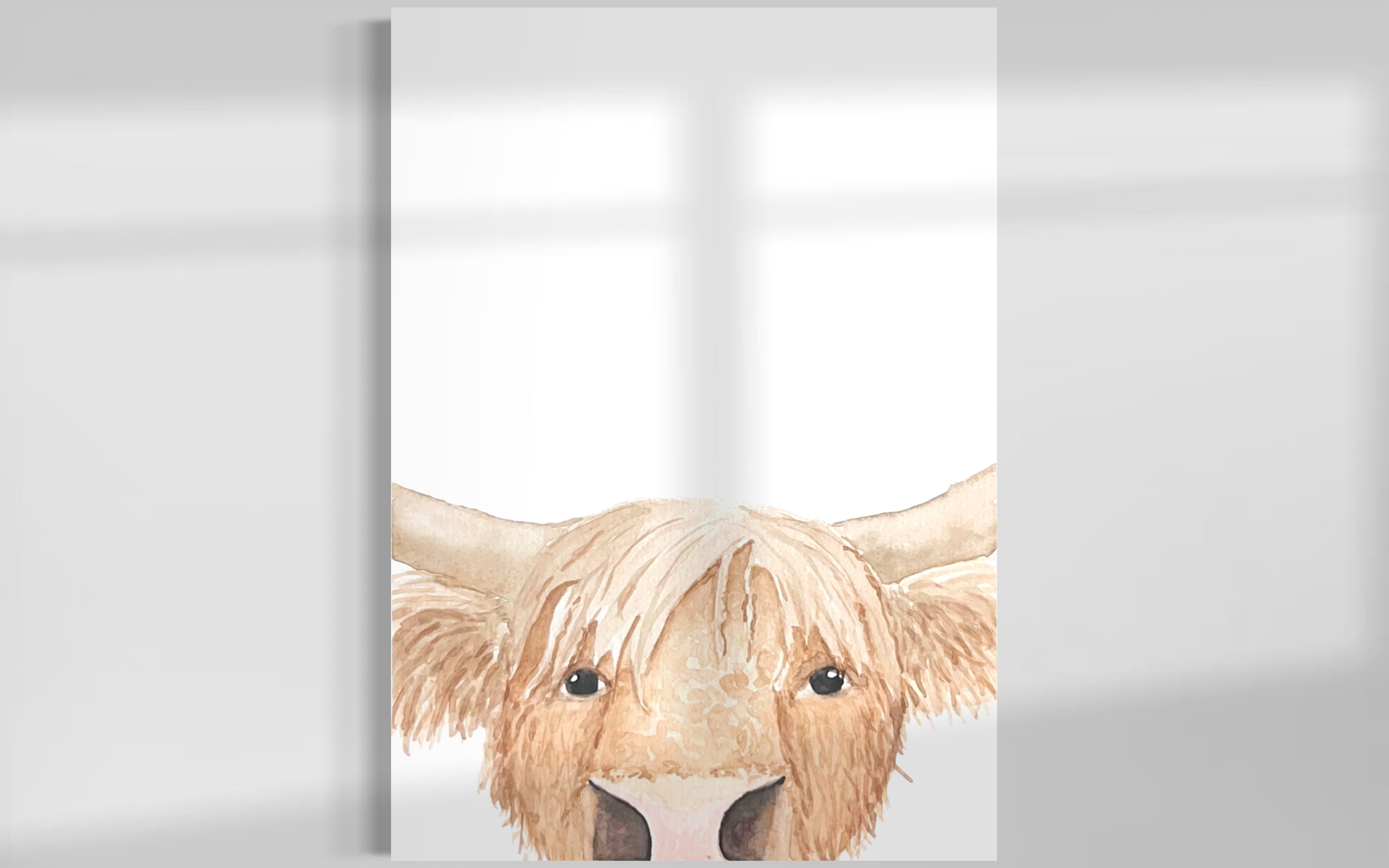 Nosey Highland Cow Canvas