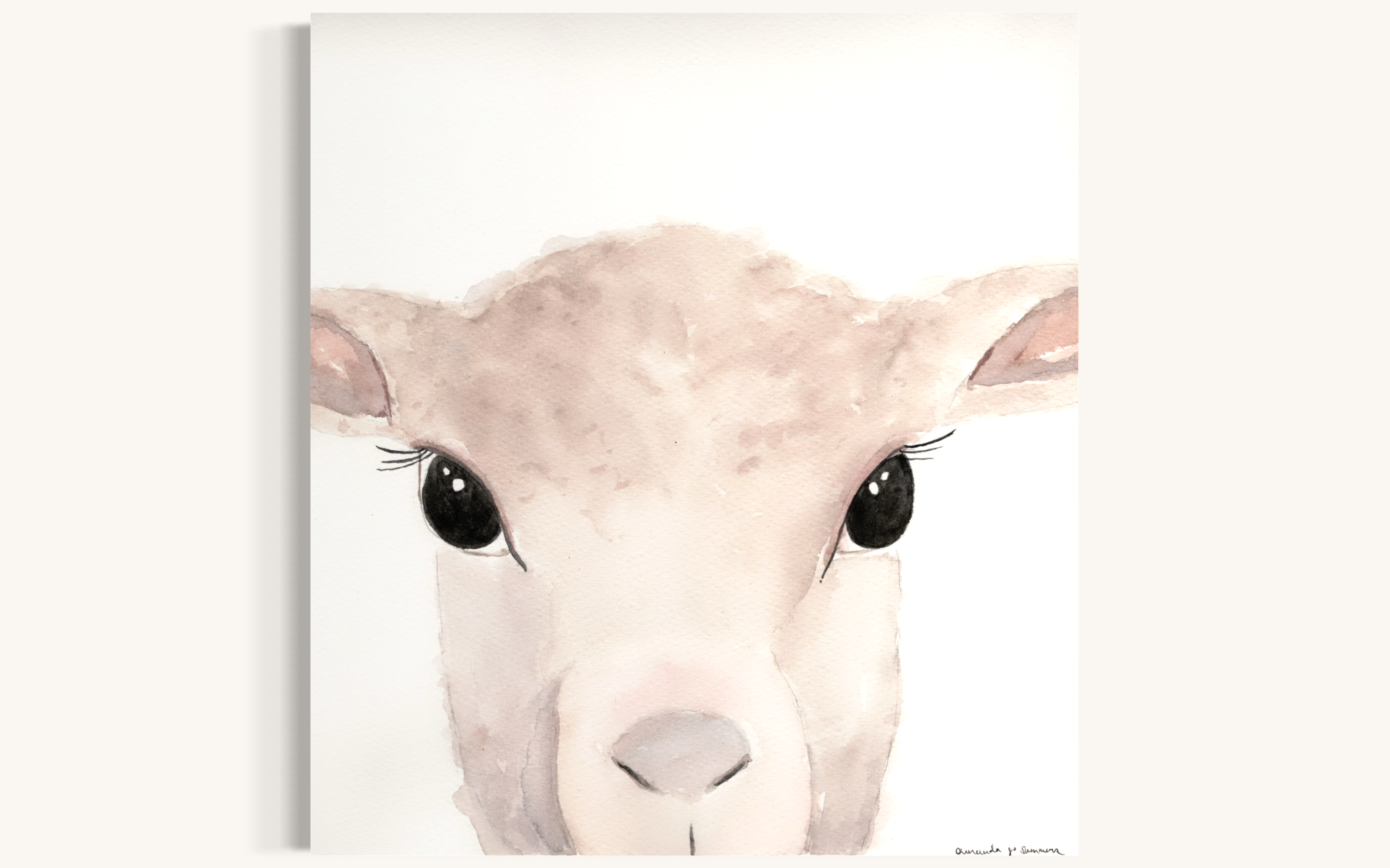 Watercolor lamb