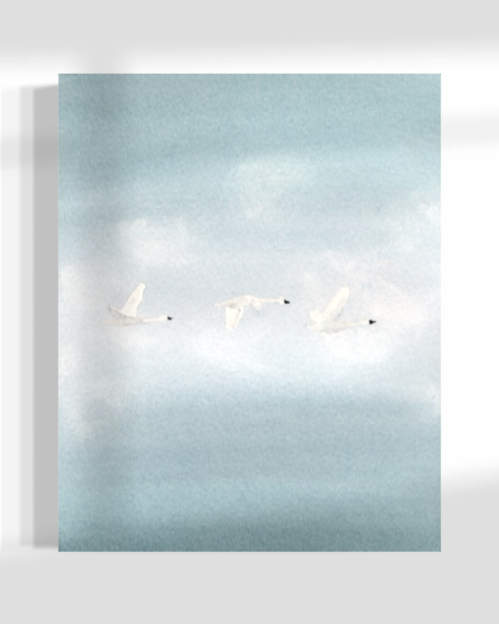 Cruising Altitude- Clear Sky’s