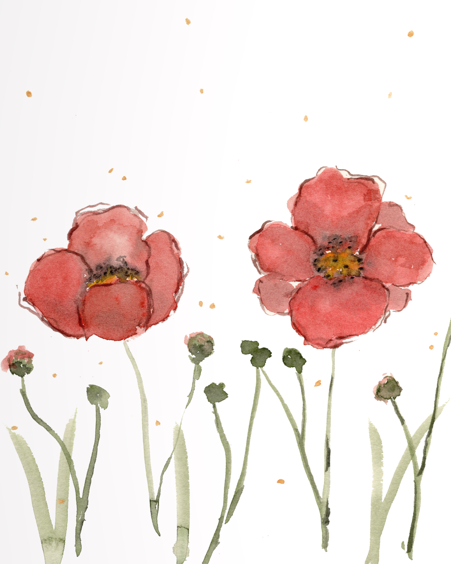 Poppy series (4 piece set)