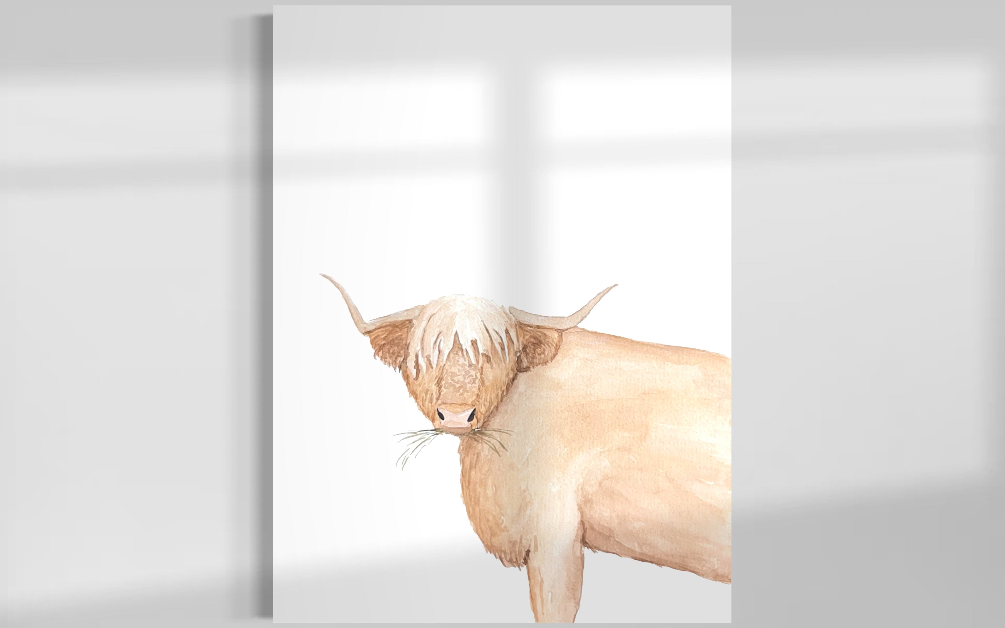 Highland Cow + Dragonfly Canvas