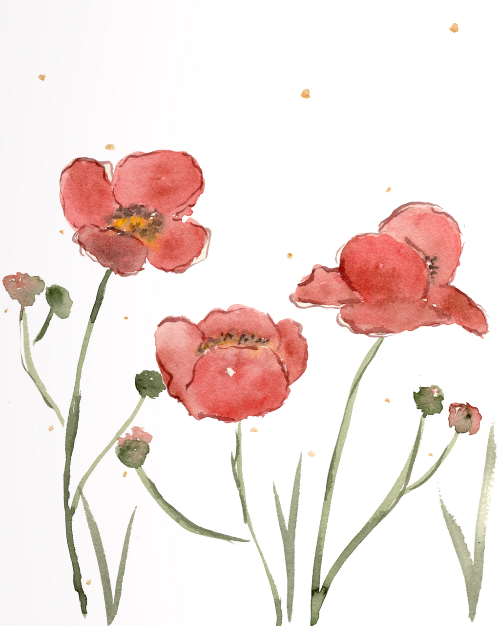 Poppy series (4 piece set)